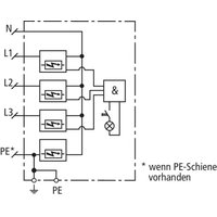 Dehn + Söhne DSH ZP B TT 255 Pic_2