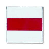 Busch-jaeger 1573 CN-84 Pic_2