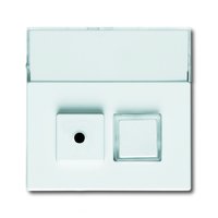 Busch-jaeger 1572 CN-84 Pic_1