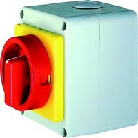 Elektra Tailfingen S3N 013/HS-T20/6-D-MRG Pic_1