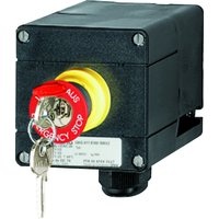 Ceag/cooper GHG 411 8101 R0012 Pic_2