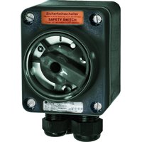 Ceag/cooper GHG 981 0014 R0011 Pic_1