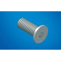 Luetze Schraube, Flachk., M8x10 Pic_1