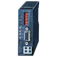 Vipa 253-1DP31 Pic_1