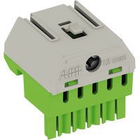 Striebel & John ZK51G Pic_2