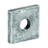 Striebel & John ZX231P10 Pic_2