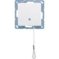 Jung A 506 BF NUZ WW Pic_1