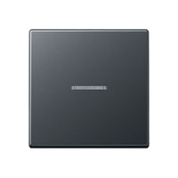 Jung A 590 BF KO5 ANM Pic_1