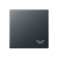 Jung A 590 BF L ANM Pic_1