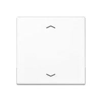 Jung A 590 BF P WW Pic_1