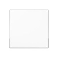 Jung A 590 BF WW Pic_1