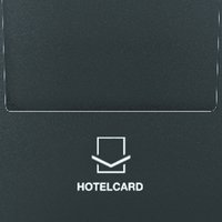 Jung A 590 CARD ANM Pic_1