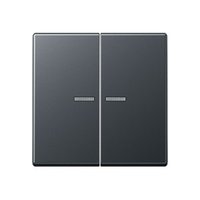 Jung A 595 BF KO5 ANM Pic_1