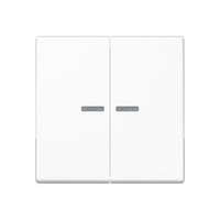 Jung A 595 BF KO5 WW Pic_1