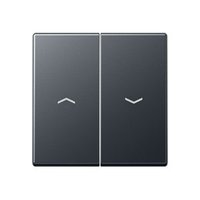 Jung A 595 BF P ANM Pic_1