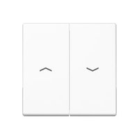 Jung A 595 BF P WW Pic_1