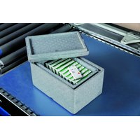 Testo testo 184 T1 Pic_2