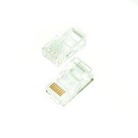 E+p CS 201 LOSE Pic_1