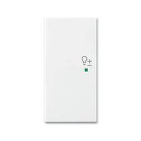 Busch-jaeger 6234-21-914 Pic_1