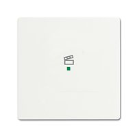 Busch-jaeger 6233-10-884 Pic_2