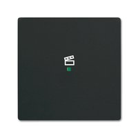 Busch-jaeger 6233-10-885 Pic_2