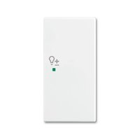 Busch-jaeger 6234-22-914 Pic_1