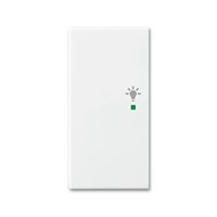 Busch-jaeger 6231-21-914 Pic_1