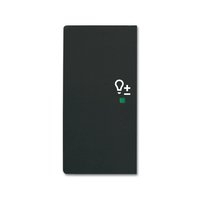 Busch-jaeger 6234-21-885 Pic_2