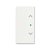 Busch-jaeger 6232-20-884 Pic_1