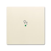 Busch-jaeger 6234-10-82 Pic_2