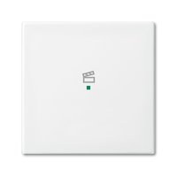 Busch-jaeger 6233-10-914 Pic_1