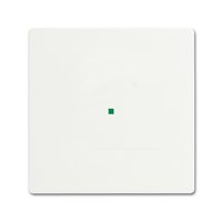 Busch-jaeger 6230-10-884 Pic_2