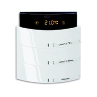 Busch-jaeger 6321/38-24G Pic_2