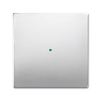 Busch-jaeger 6230-10-866 Pic_1