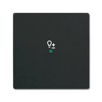 Busch-jaeger 6234-10-885 Pic_2