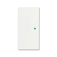 Busch-jaeger 6230-20-884 Pic_2