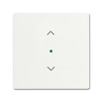 Busch-jaeger 6232-10-884 Pic_2