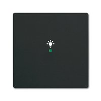 Busch-jaeger 6231-10-885 Pic_1