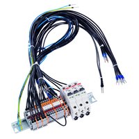 Striebel & John VS461 Pic_1