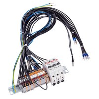 Striebel & John VS461 Pic_3