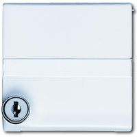 Busch-jaeger 2118 GKSLN-34 Pic_1