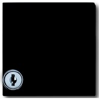 Busch-jaeger 2118 GKSL-35 Pic_1