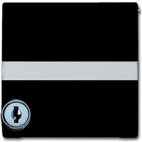 Busch-jaeger 2118 GKSLN-35 Pic_1