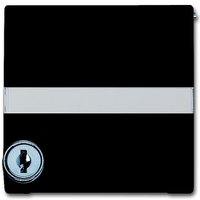 Busch-jaeger 2118 GKSLN/11-31 Pic_1