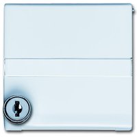 Busch-jaeger 2118 GKSLN/11-34 Pic_2