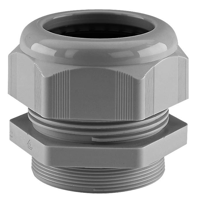 Schlemmer 5308958 Pic_1