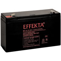 Effekta BT 6-12 Pic_1