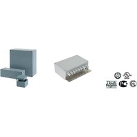 Rose 02.08 16 06 0 Pic_1