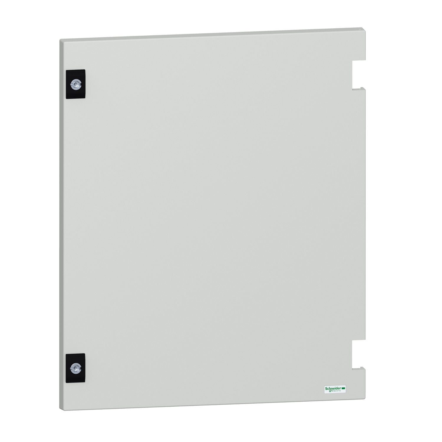 Schneider Electric NSYDPLM54G Pic_1