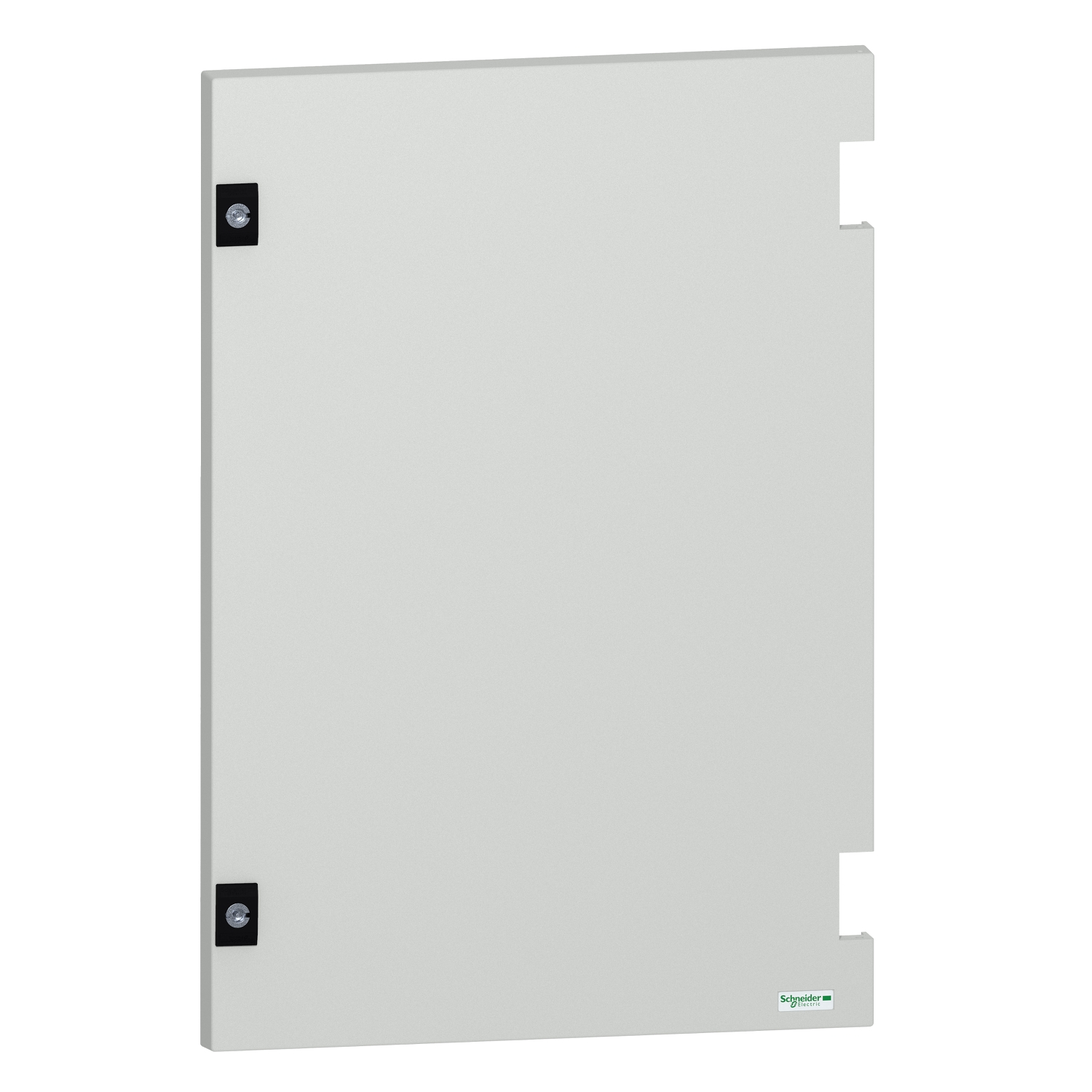 Schneider Electric NSYDPLM64G Pic_1